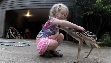 Baby deer walks up to a little girl