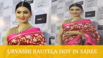Urvashi Rautela Hot In Saree | Lakme Fashion Week Summer Resort 2017 | Day 02