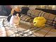 Theycallmemeaow - วิธีทำให้แมวส่ายตูดดุ๊กดิ๊ก [How to train your cat to wiggle!]