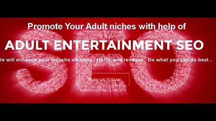 Adult Ecommerce SEO by Adult Entertainment SEO