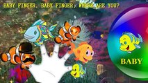 Finger Family Collection - 5 Finger Family Songs - Daddy Finger Nursery Rhymes