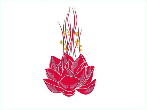 Wine Label Design and Branding Agency - OH! Design Studio