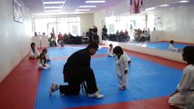 Little Boy Trying To Break Board In Taekwondo345