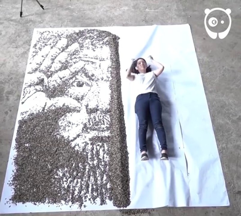 Elle "peint" avec des graines de tournesol! Résultat incroyable