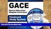Audiobook  GACE Special Education Adapted Curriculum Flashcard Study System: GACE Test Practice