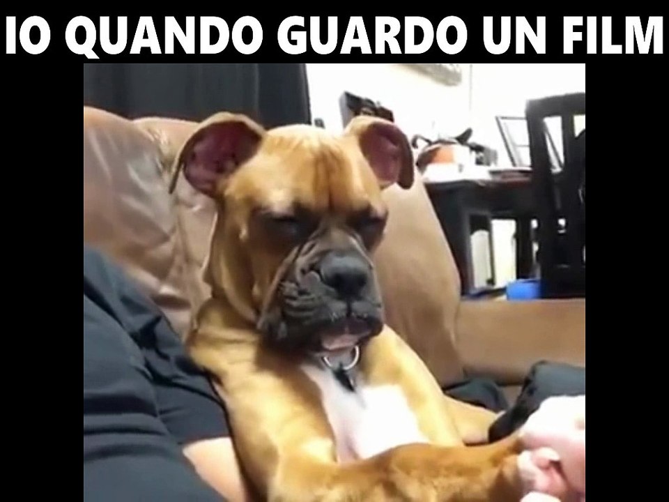 GUARDIAMO UN FILM QUESTA SERA?