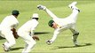 Top 10 Best Wicket Keeper Catches ● Stumpings in Cricket history ever