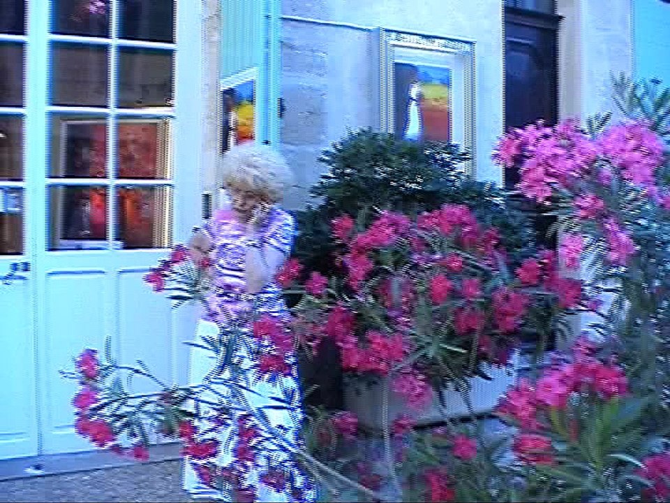 CHEVALET D EON GALERIE D ART 13300 MONIQUE DIJAUX SALON DE PROVENCE marcoartcomesp artcomesp temoignage et patrimoine