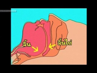 ชิดหมอ ..( Ep.4 ).. ตอน "นอนกรน 1"