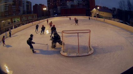 Лицей №368 - Ледовая Дружина 29.01.17(2 период)