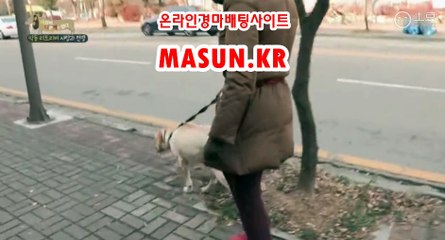 사설경마사이트, 인터넷경마 【 MaSUN 쩜 KR 】 경예상가