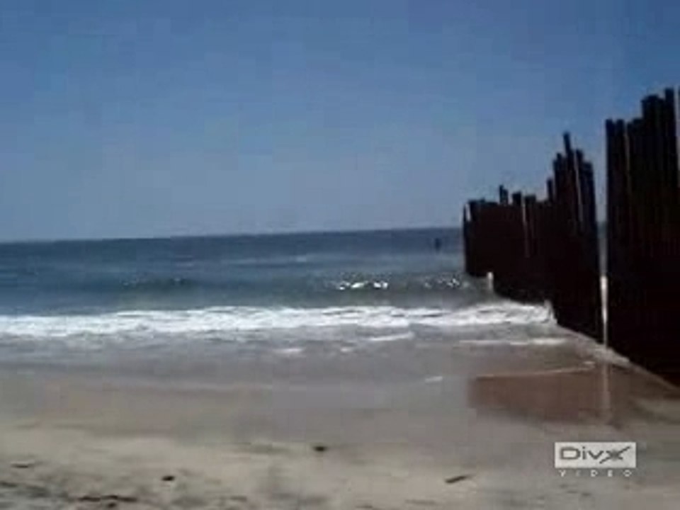 Viva México