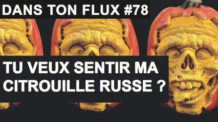 Tu veux sentir ma citrouille russe ? - #DansTonFlux 78