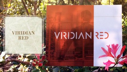 Скачать видео: Viridian Red Fraud Moniterd By Viridian Red - The Best Real Estate Company