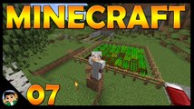 Plantações - Minecraft #07 | AlexMine8080