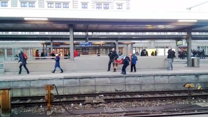 Cette femme tombe sur une voie ferrée à cause d'un chien policier