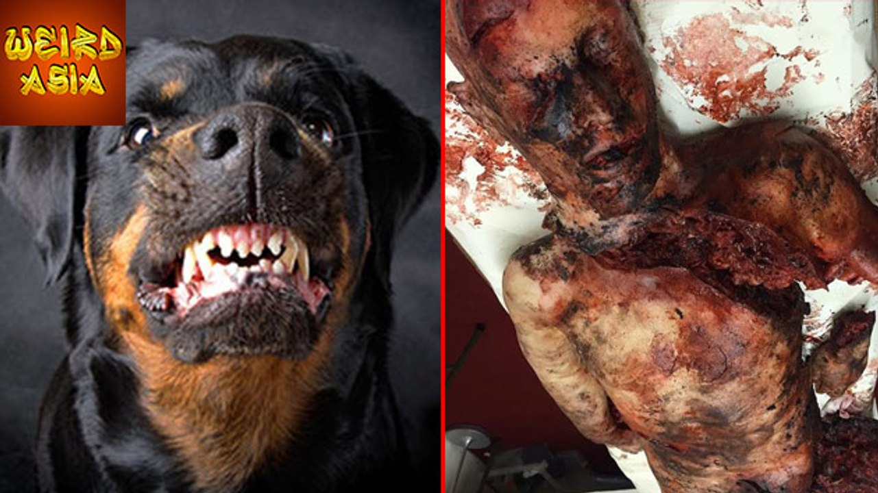 Savage Dogs SHRED Man Into Pieces! | Weird Asia