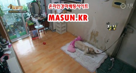 사설경마사이트  ● MASUN.케이R ◁ 코리아레이스