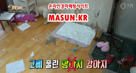 온라인경마사이트 【 MaSUN . K R 】 사설경정