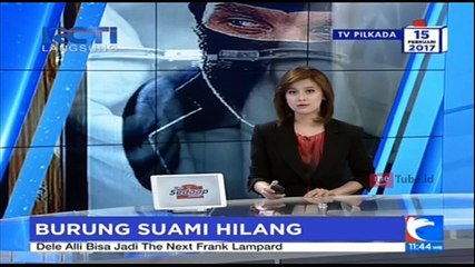 Burung Suami Hilang, Istri Lapor Polisi