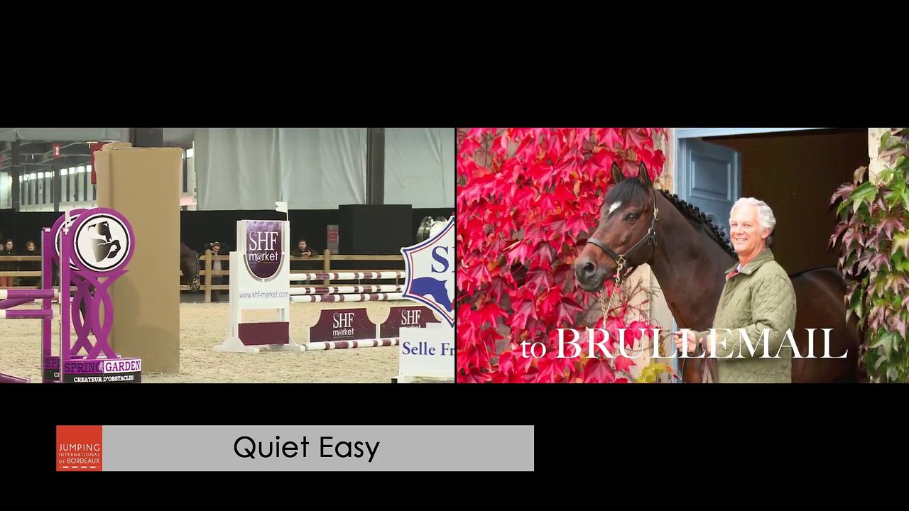 Salon des Etalons de Sports - Jumping International de Bordeaux 2017 (03/02/2017)