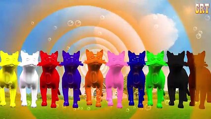 Colourfull Colour Song || Learning Children Rhymes For Nursery Collection