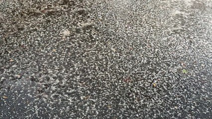 Un orage de grêle sur Mont-de-Marsan