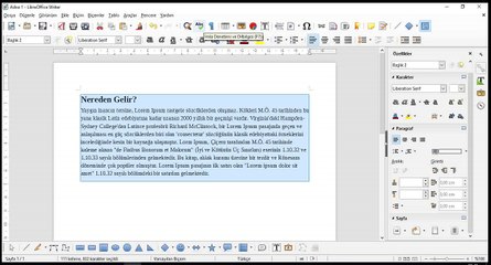 16 Ders - LibreOffice Write İmla Denetimi ve Dilbilgisi
