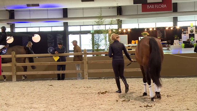 La quotidienne du Jumping International de Bordeaux N°1