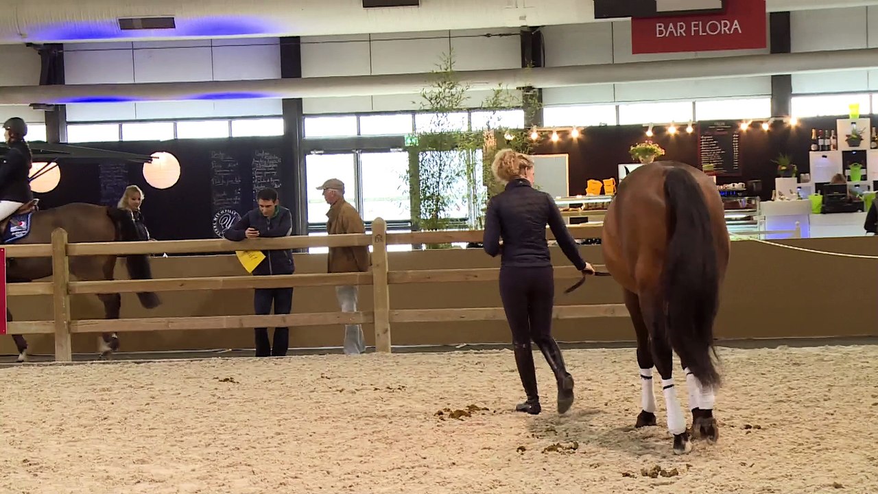 La quotidienne du Jumping International de Bordeaux N°1