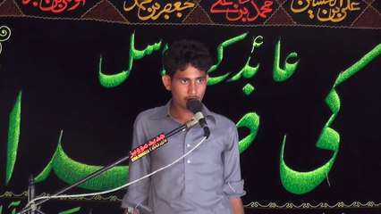 Zakir Sajad ali Hafizabad 20 Muharram 1438 ( 2016 ) Choti Behak Hafizabad