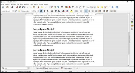 21 Ders - LibreOffice Write Klavye Kısa Yolları - Metinde kelime kelime atlayarak yada harf harf atlayarak aşağı yukarı hareket etme