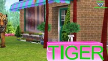 Tiger Vs Bear Nursery Rhymes Collection || 3d Animation Song For Children Rhymes