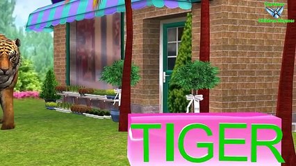 Tiger Vs Bear Nursery Rhymes Collection || 3d Animation Song For Children Rhymes