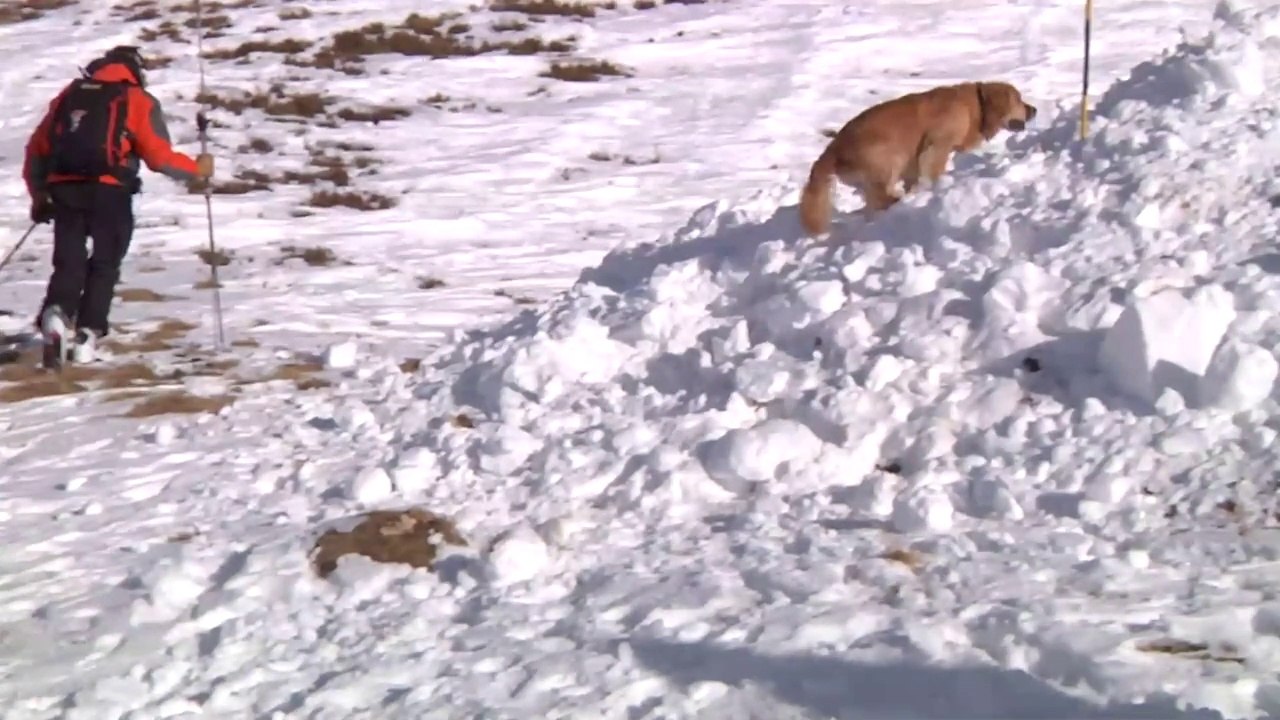 RHONE ALPES Actu - 3 FEVRIER 2017