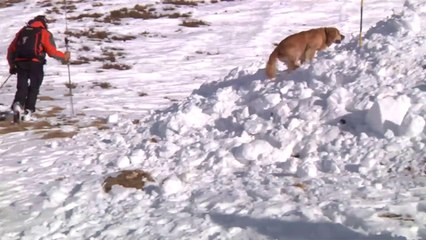 RHONE ALPES Actu - 3 FEVRIER 2017