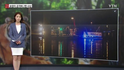 잠깐의 '부주의'...지구촌은 지금 '맹수 공포' / YTN (Yes! Top News)