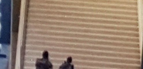Terroriste du Musée du Louvre à Paris (3 février 2017)