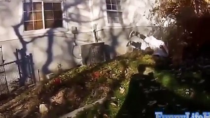 Приколы 2013 лето