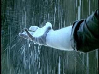 FEAST OF LOVE-CARY BROTHERS HONESTLY