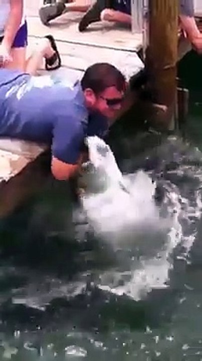 PEIXE GIGANTE SALTA DA ÁGUA E MORDE O BRAÇO DO PESCADOR - SE NÃO FOSSE FILMADO NINGUÉM ACREDITAVA