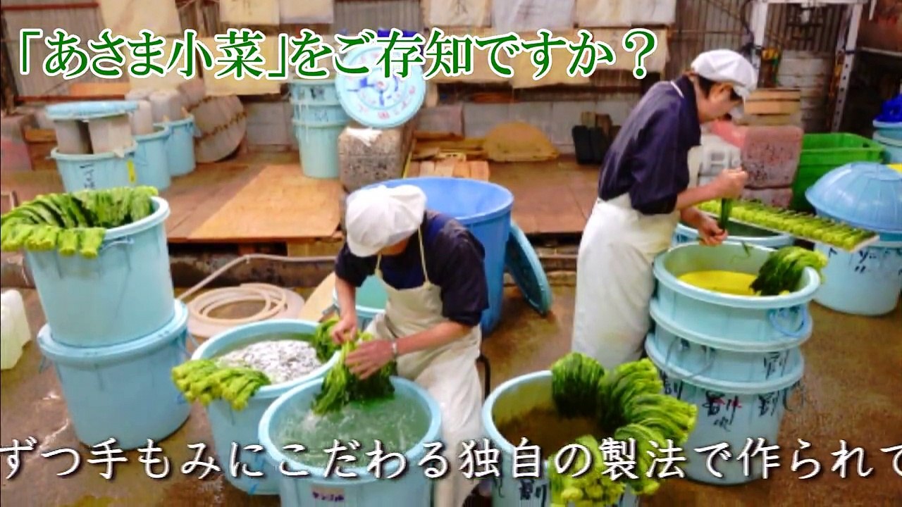あさま小菜!! ご存知ですか?
