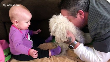 Baby's adorable reaction to meeting family dog for the first time