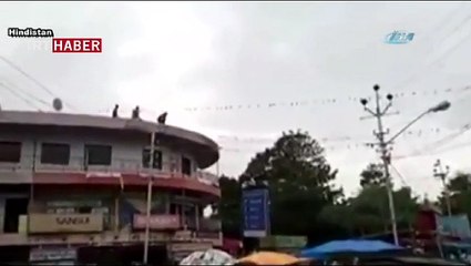 İnek çatıdan atladı