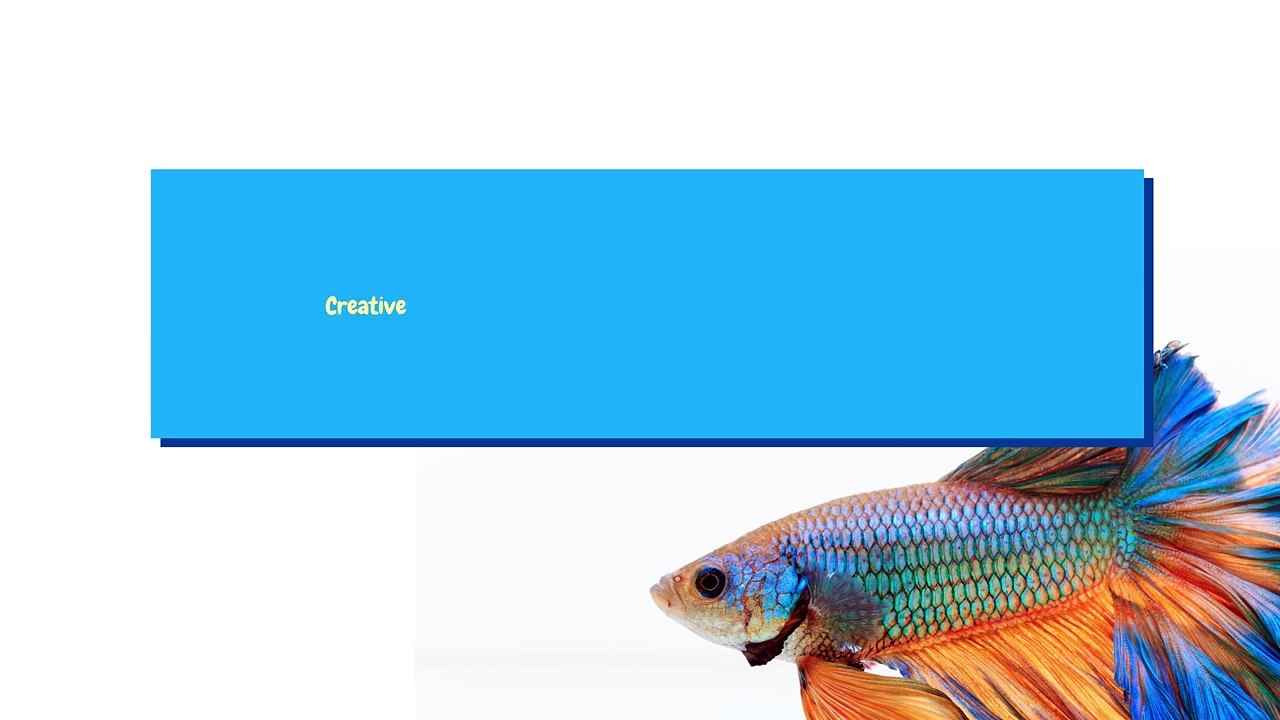 Betta Fish Recovery after trimming Fins under anesthesia using Clove Oil-x0Re0Vfym3s