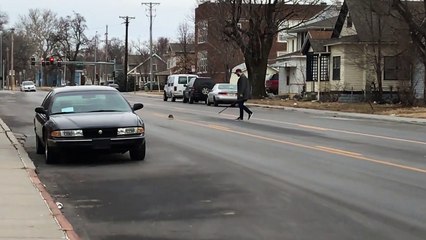 Il délivre un écureuil la tête coincée dan sun gobelet