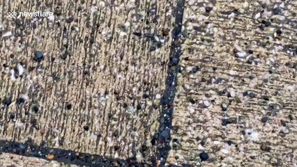 Storm Doris hits the coast of Aberysywyth