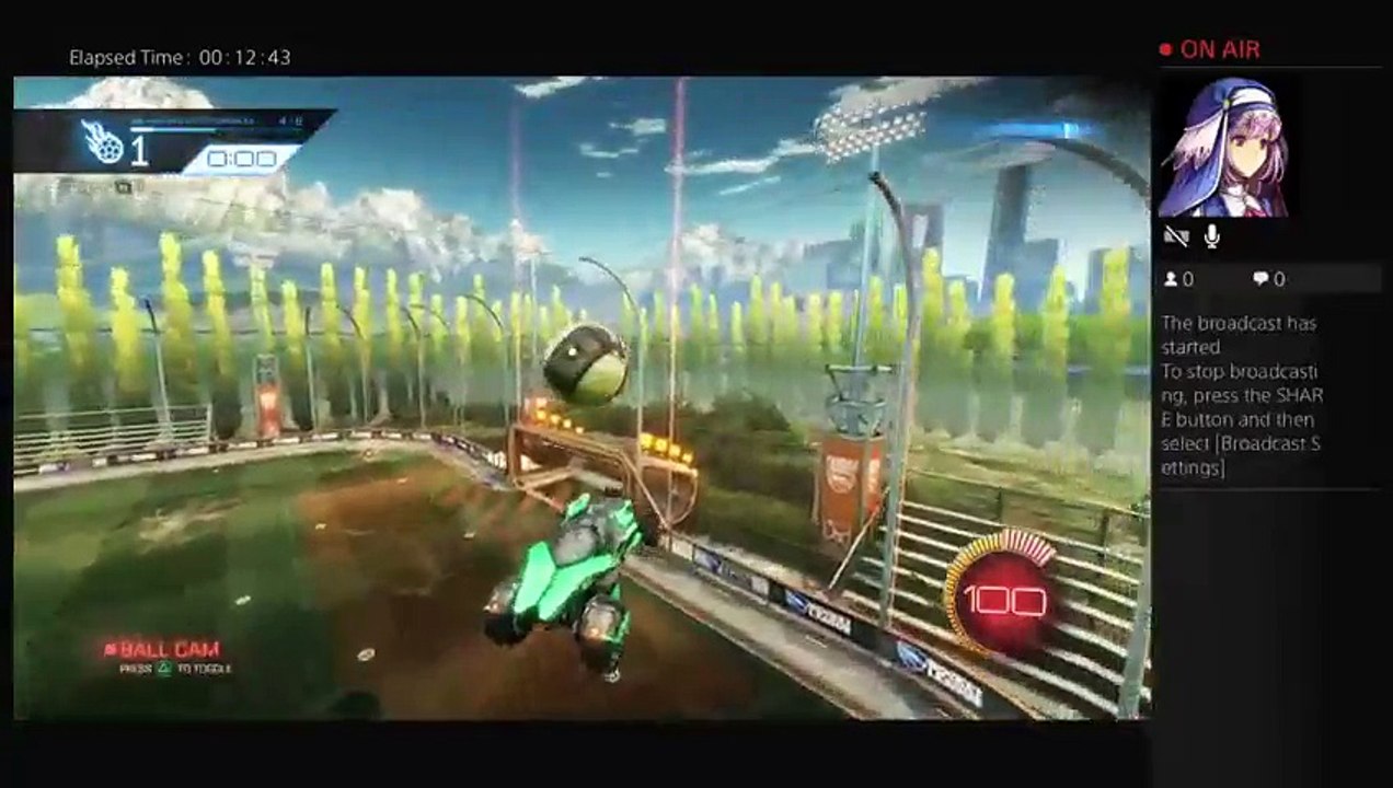 The Quest To Kill The Ender Dragon (9)