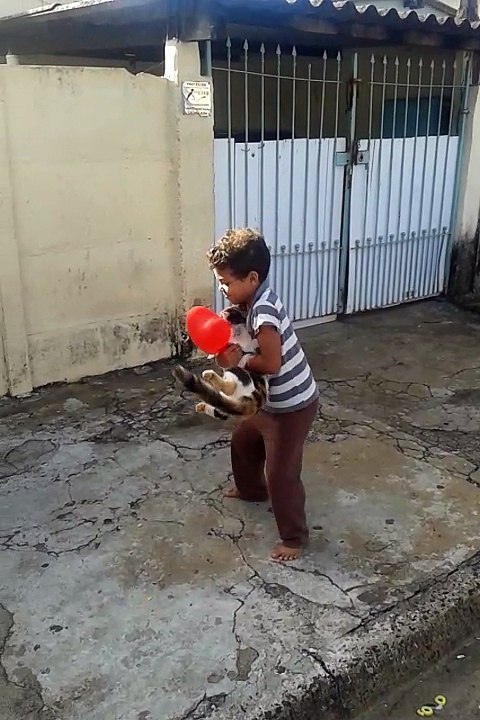 Gato Piruleta