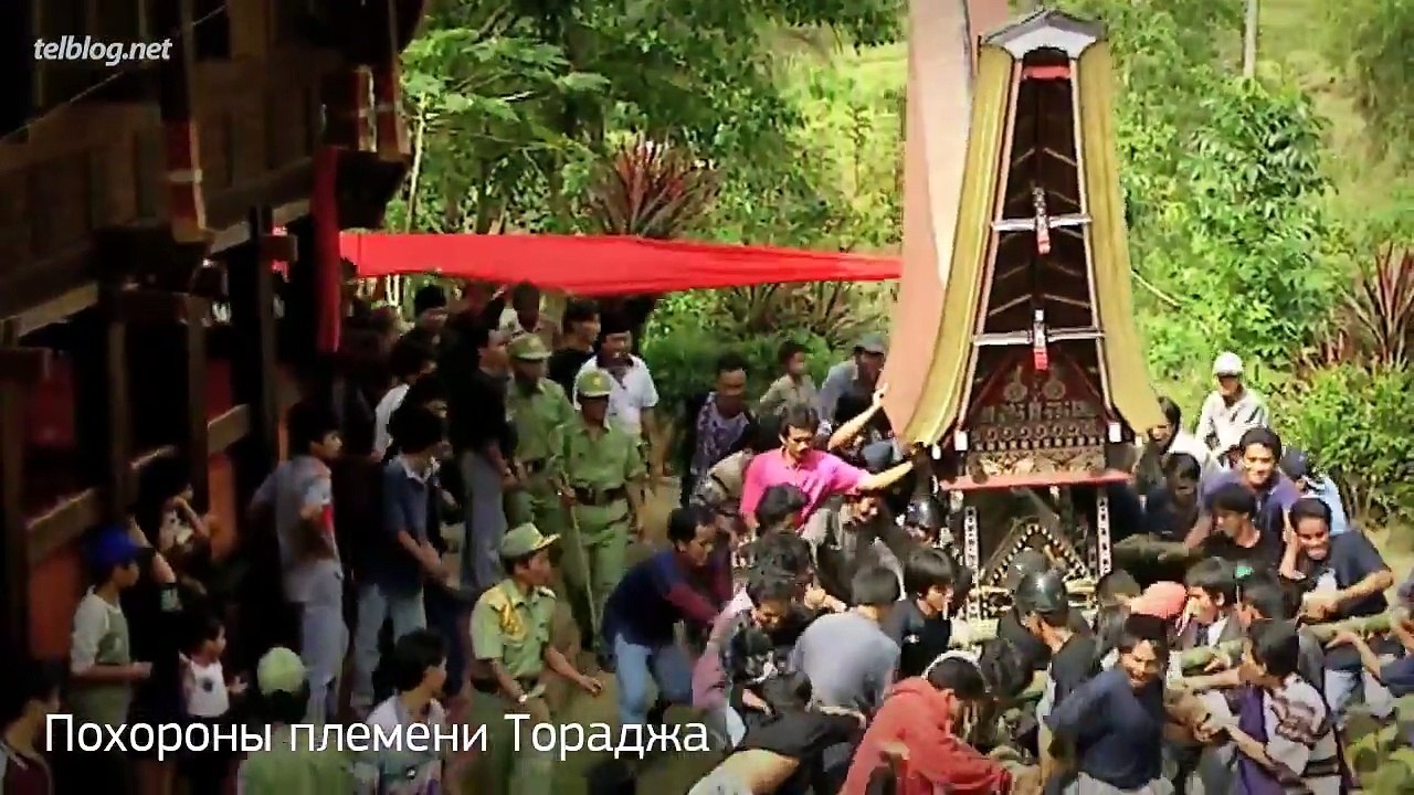 5 невероятно БЕЗУМНЫХ традиций со всего мира!